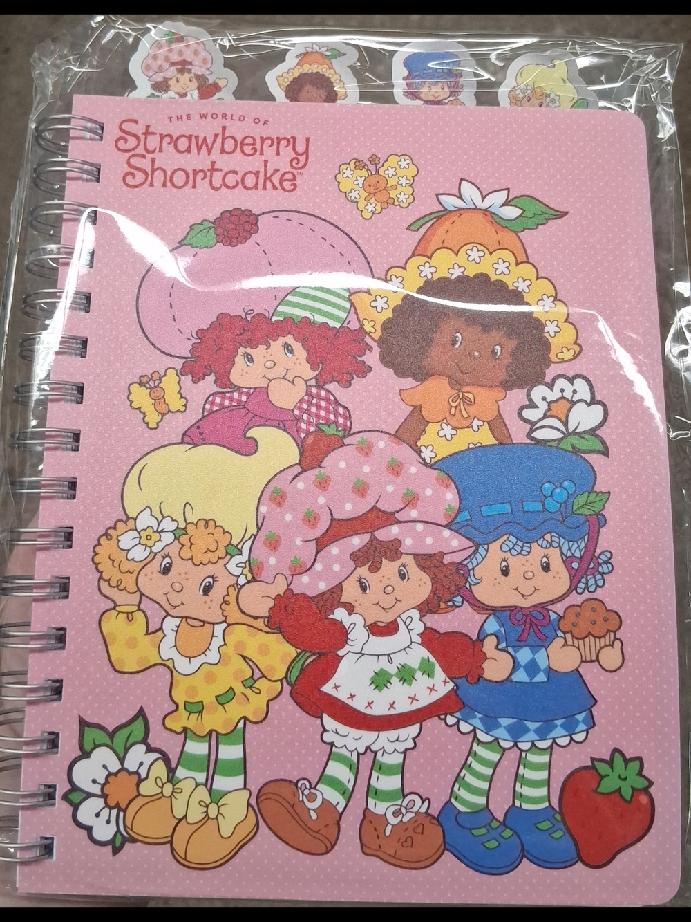 New Strawberry Shortcake Tabbed Journal Book